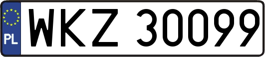 WKZ30099