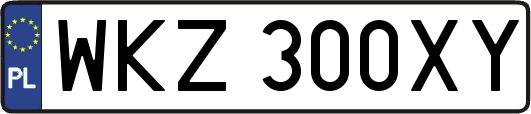 WKZ300XY