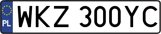 WKZ300YC
