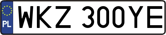 WKZ300YE