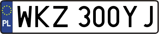 WKZ300YJ