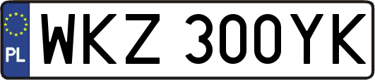 WKZ300YK