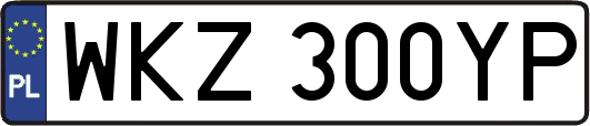 WKZ300YP