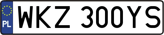 WKZ300YS