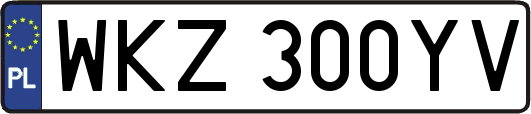 WKZ300YV