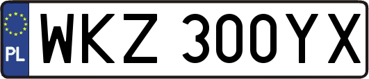 WKZ300YX
