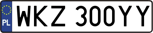 WKZ300YY