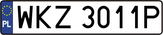 WKZ3011P