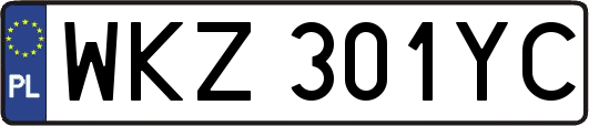 WKZ301YC