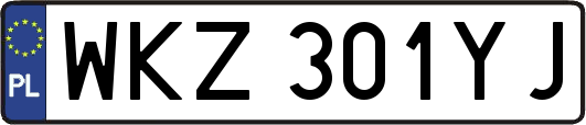WKZ301YJ