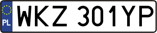 WKZ301YP