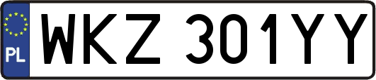 WKZ301YY