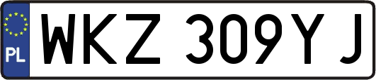 WKZ309YJ