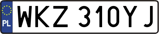 WKZ310YJ