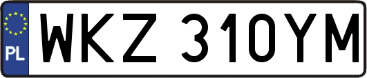 WKZ310YM