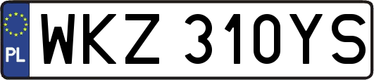 WKZ310YS