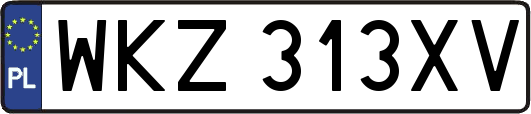 WKZ313XV