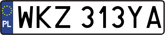 WKZ313YA