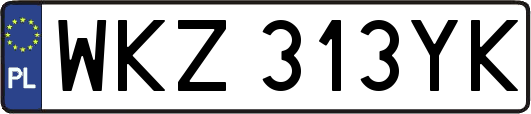 WKZ313YK