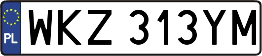 WKZ313YM