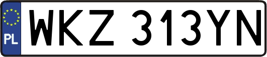 WKZ313YN