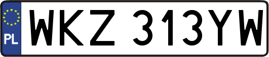 WKZ313YW