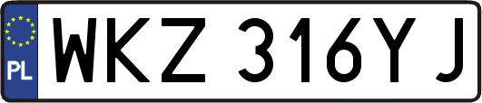 WKZ316YJ