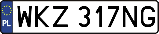 WKZ317NG