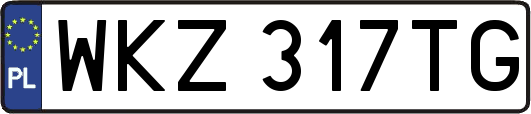 WKZ317TG