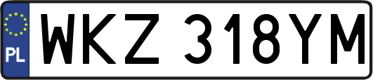 WKZ318YM