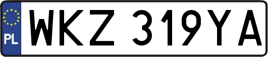WKZ319YA