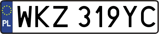 WKZ319YC