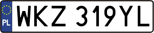 WKZ319YL