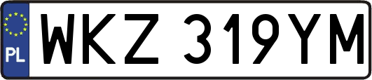 WKZ319YM