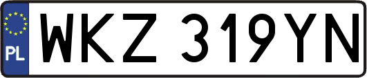 WKZ319YN