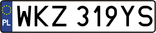 WKZ319YS