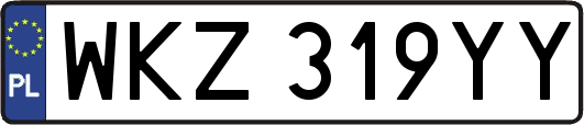 WKZ319YY