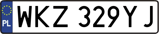 WKZ329YJ