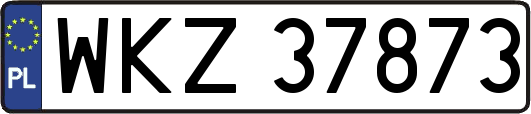 WKZ37873