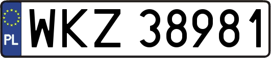 WKZ38981