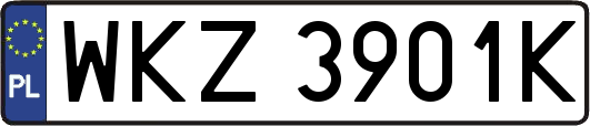 WKZ3901K
