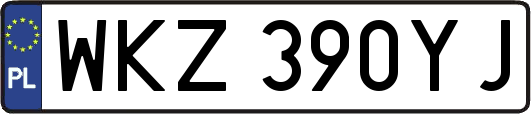 WKZ390YJ