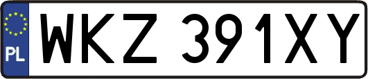 WKZ391XY