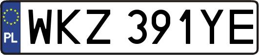 WKZ391YE
