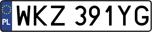 WKZ391YG