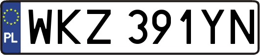 WKZ391YN