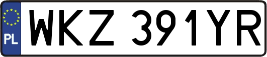 WKZ391YR