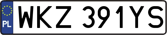 WKZ391YS