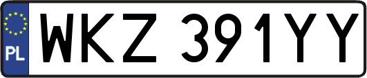 WKZ391YY