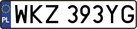 WKZ393YG